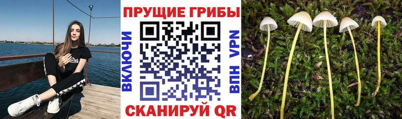 как найти   hydra маркетплейс  Галлюциногенные грибы мухоморы  Абаза 