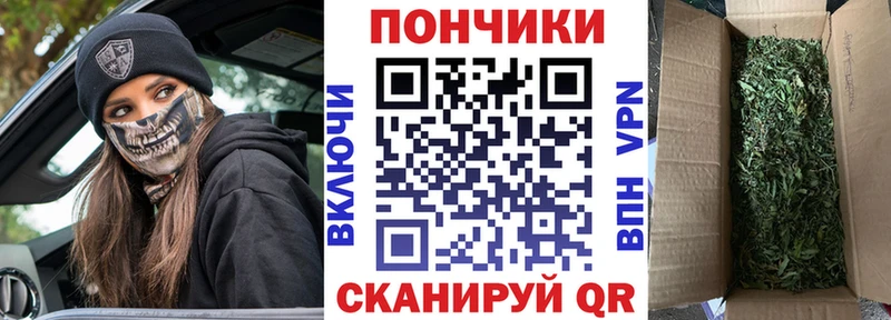 Каннабис VHQ где найти наркотики Абаза